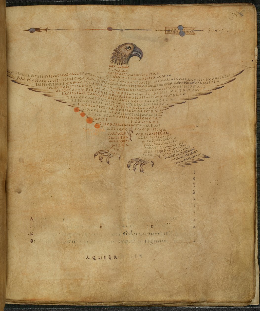 哈雷 647， f.7 马库斯-图利乌斯-西塞罗的 "Aratea，星座图中的希吉努斯天文学摘录 "中的 "鹰鹰座 "插图（纸面墨水和彩色）。 作者 法语学校