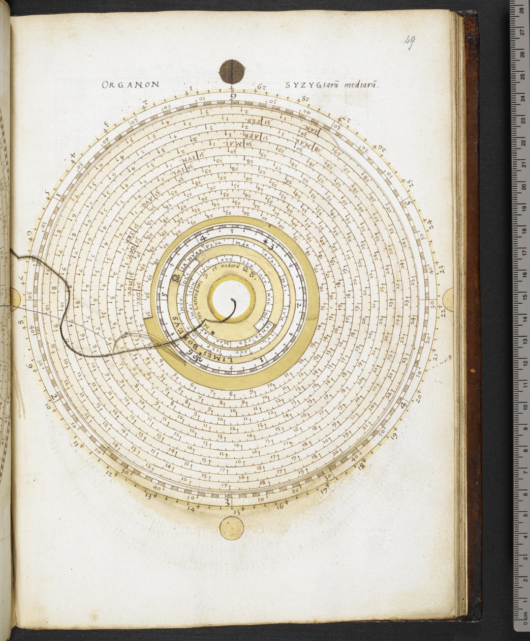 哈雷 MS 3263 f.49 《Organon Astronomicon ex hypothesibus Copernici extractum》，布卢瓦的 Jean du Temps 著（牛皮纸上的墨水和色彩） 作者 法语学校