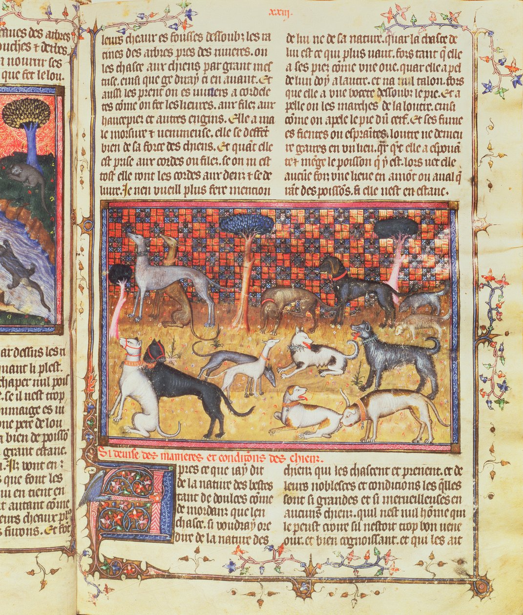 猎人Foin Phebus伯爵加斯顿三世的狩猎犬（1331-91），狩猎书，1387-89（羊皮纸上的水粉） 作者 法语学校