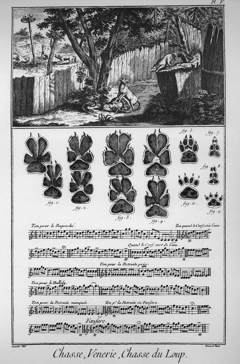 Hunting the wolf (different ways or traps to take the wolves) - “” The Great Encyclopedie, ou Dictionnaire Raisonne des Sciences, des Arts et des Metiers”” (Encyclopedia or Dictionary of the Sciences, Arts and Professions) by Denis Diderot (1713-1784) and  作者 法语学校