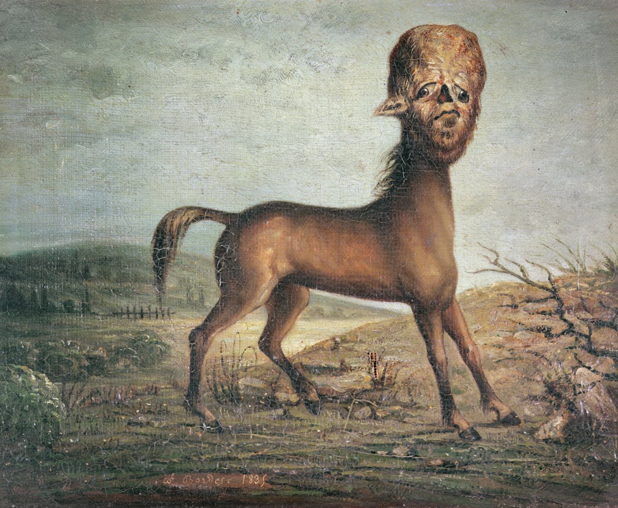 Hydrocephalic mare，1821年1月21日出生，1835年 作者 法语学校