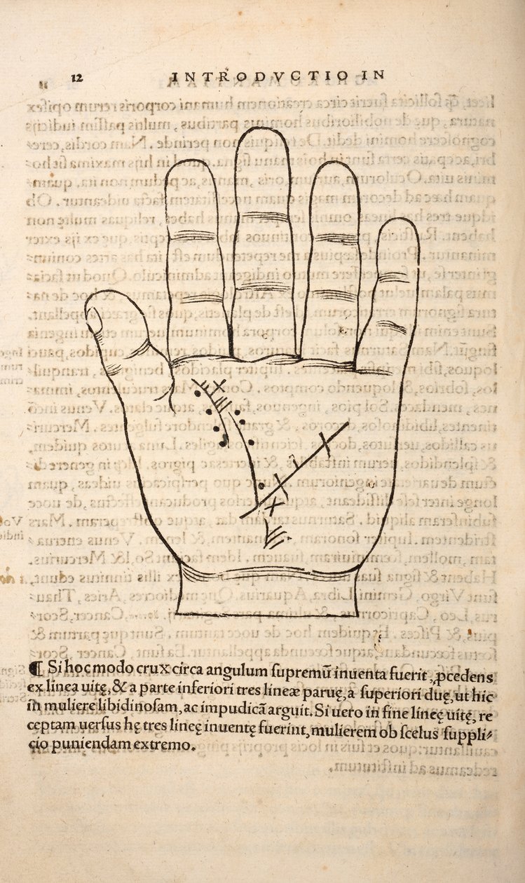 来自Chiromantia的插图，由Joannes Indagioe，斯特拉斯堡，1531年（印刷和雕刻） 作者 法语学校