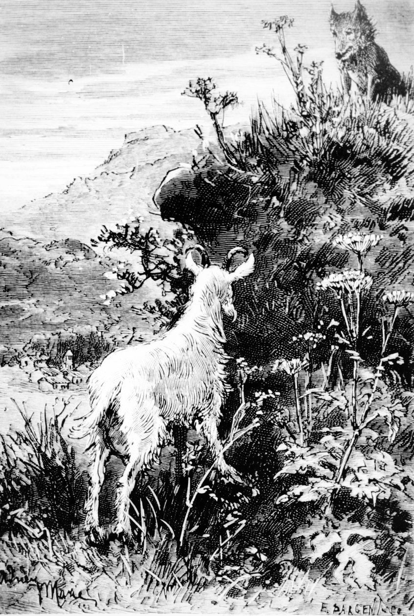 来自Seguins Goat先生的插图由Alphonse Daudet 作者 法语学校
