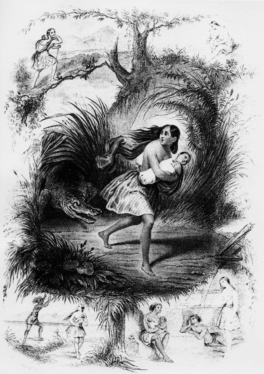 Francois Rene de Chateaubriand的小说《Les Natchez》的插图 作者 法语学校