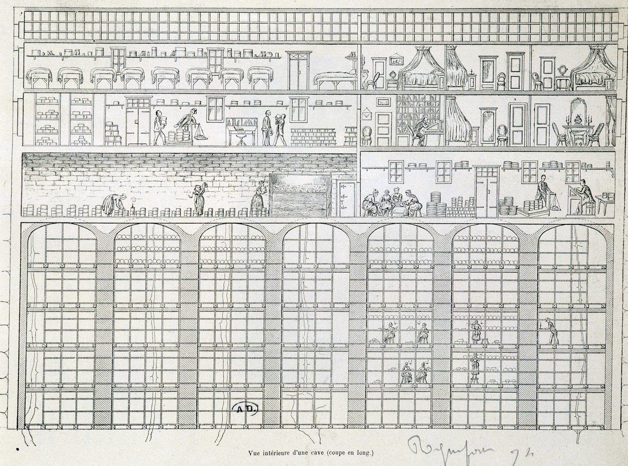 Interior view of a cellar in Roquefort (cut in length) 作者 法语学校