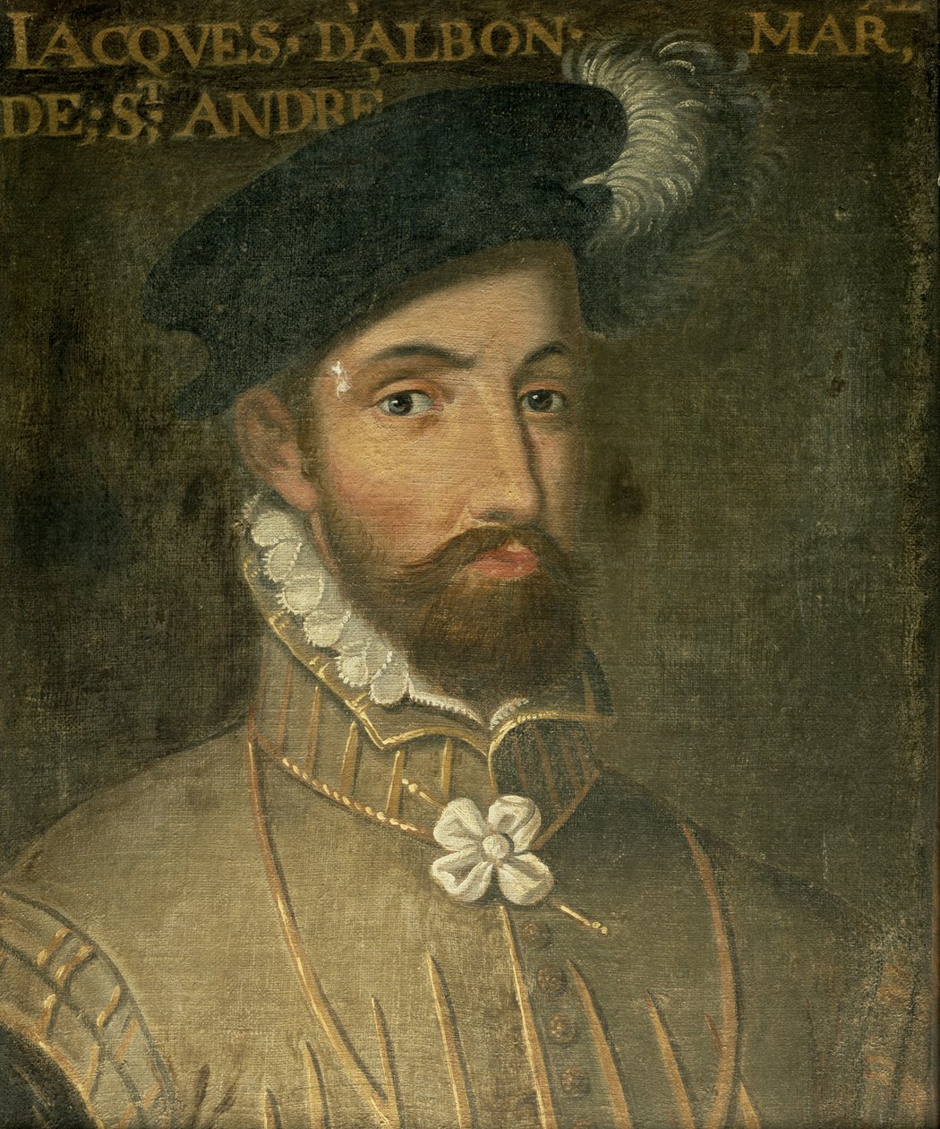 Jacques dAlbon（1505-62） 作者 法语学校