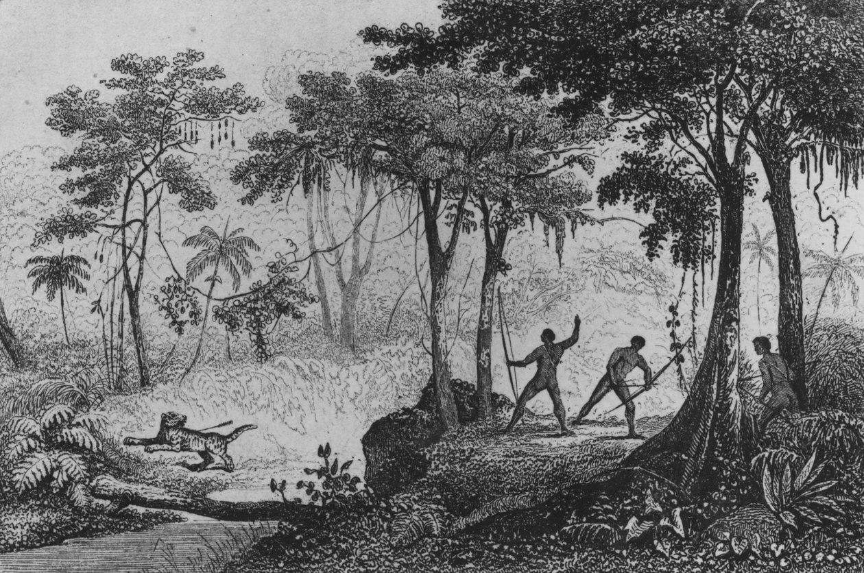 Jaguar Hunt，来自&39;Bresil，Columbie et Guyanes&39;，Ferdinand Denis和Cesar Famin 1837 作者 法语学校