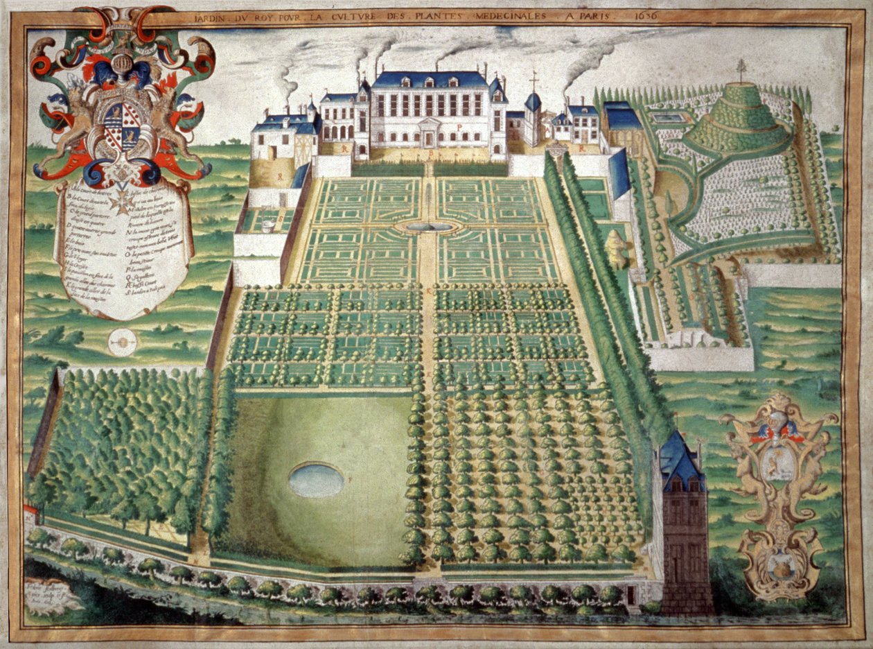 植物园，巴黎。1636年（水彩画） 作者 法语学校