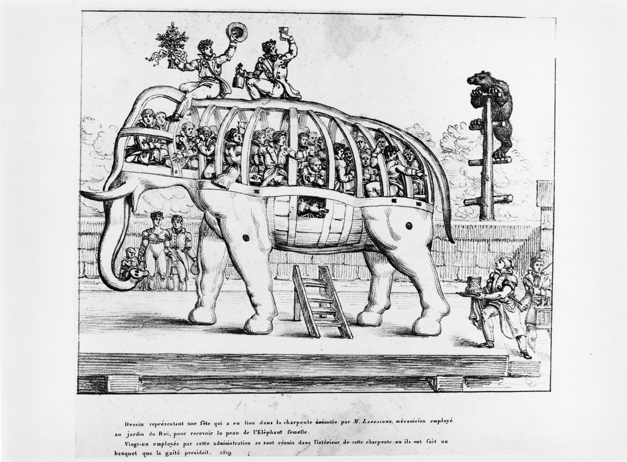 巴黎植物园，1819年 作者 法语学校