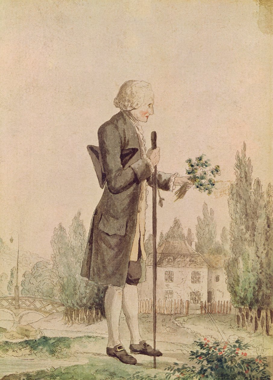 Jean-Jacques Rousseau（1712-78）在Ermenonville收集草药 作者 法语学校