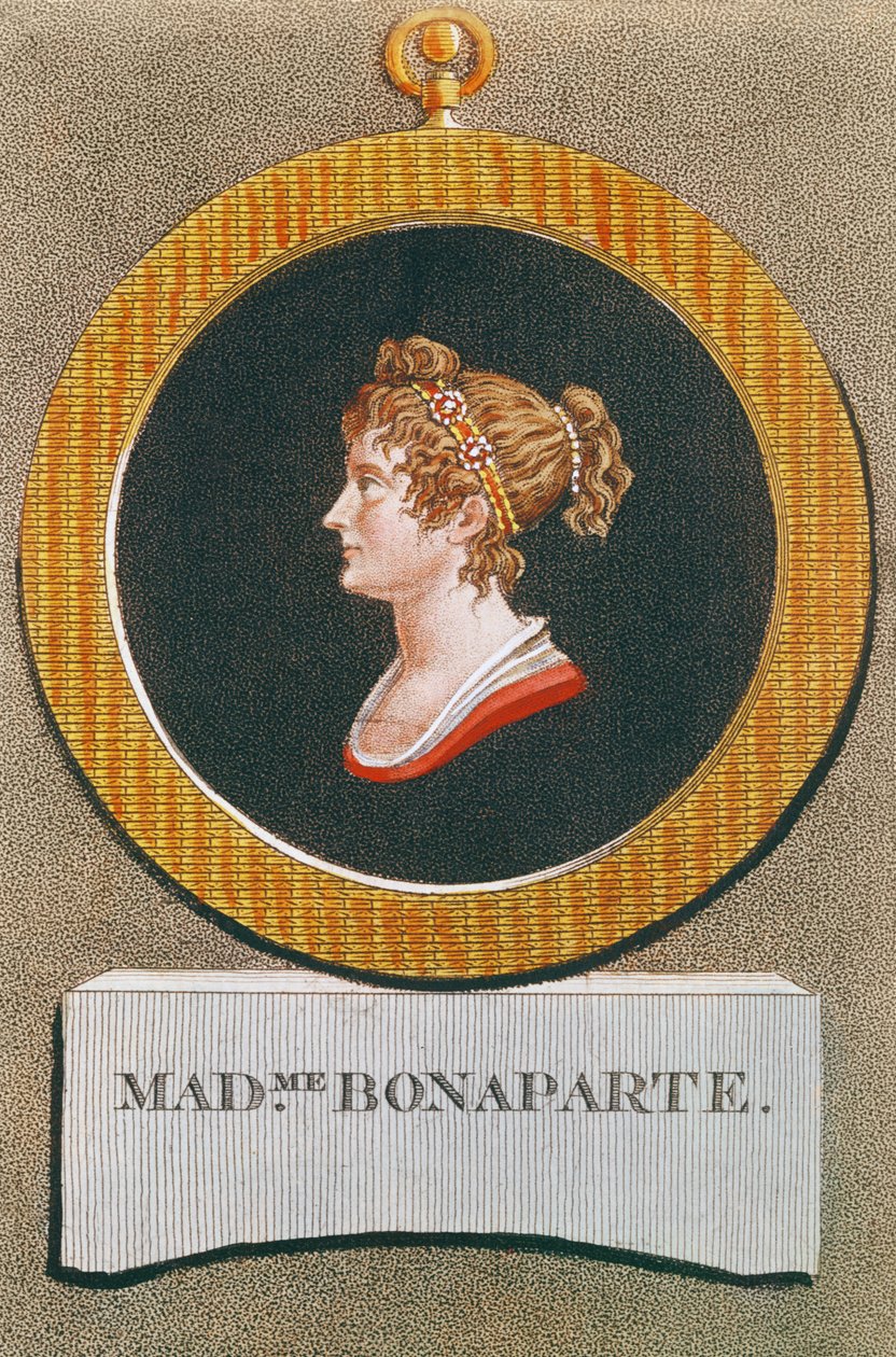 Josephine Bonaparte（1763-1814） 作者 法语学校