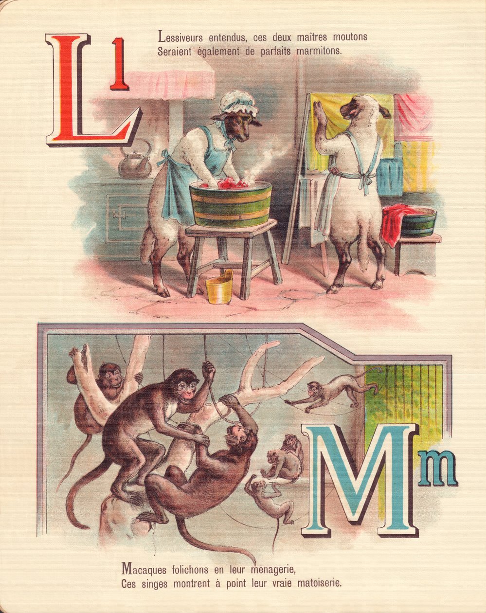 LM：羔羊，洗衣店，猴子，动物园 作者 法语学校