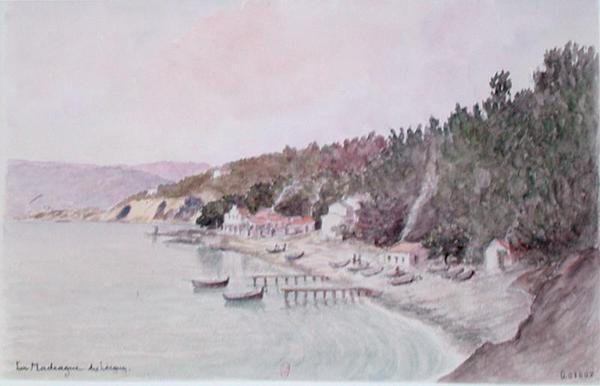 La Madrague des Lecques（纸上水彩画） 作者 法语学校