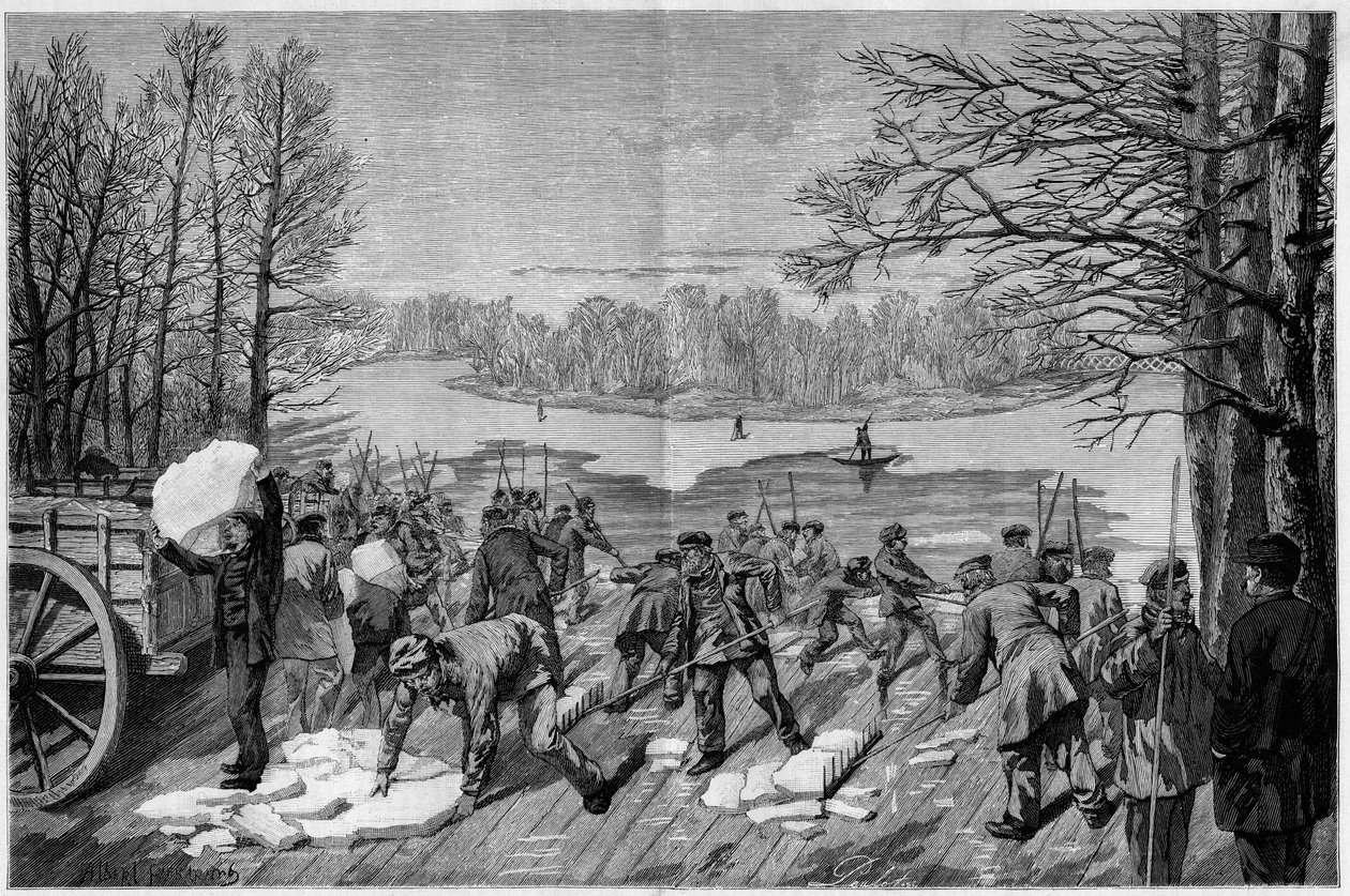 La recolte de la glace sur les lacs geles du bois de Vincennes, in “The Illustrous World”” 1887. 作者 法语学校