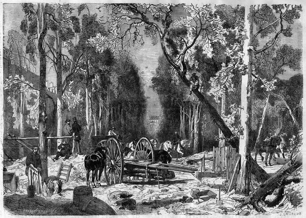 Le bucheron au jardin de Luxembourg in Paris in 1870 - Engraving from 1870 作者 法语学校