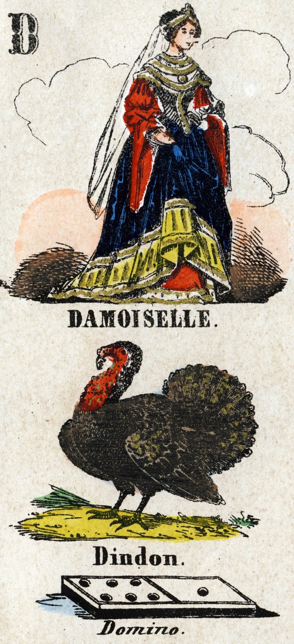 字母 D 作为 damoiselle、 火鸡和多米诺骨牌。 小百科全书。 Epinal 的成像，大约 1860 年。木版画，镀金。 暗：37,8x50,3cm。 私人收藏 作者 法语学校