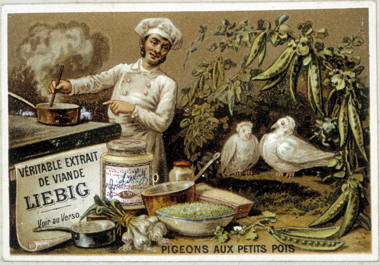Liébig 食谱：豌豆鸽子 - chromo。 作者 法语学校