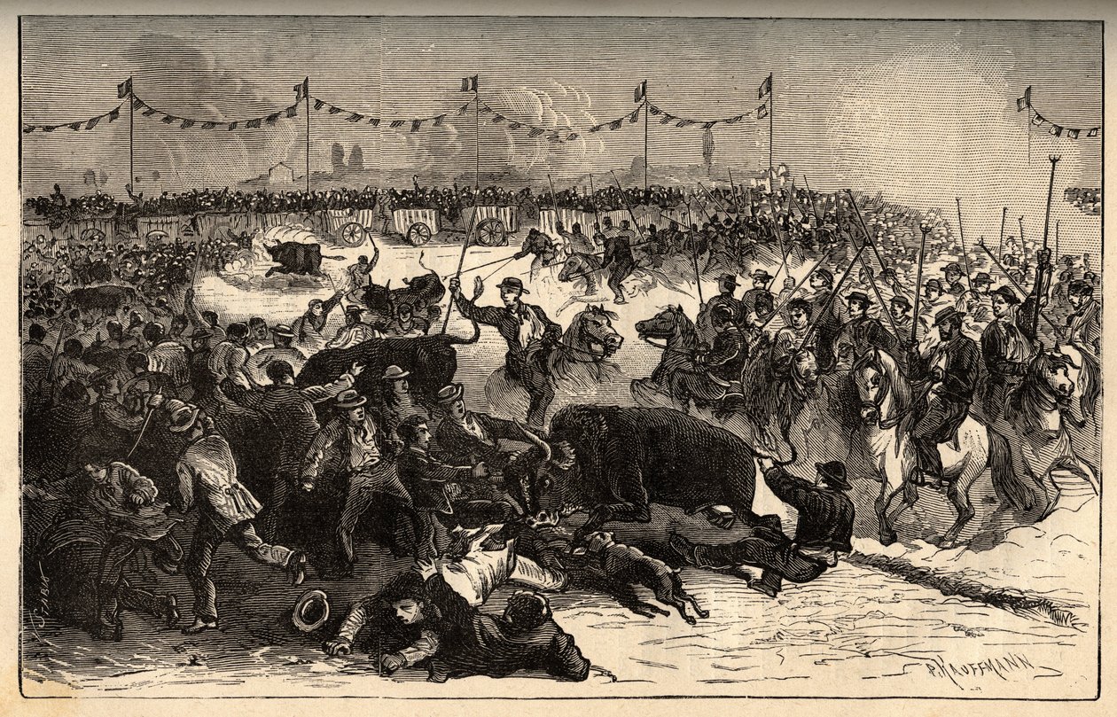 牲畜烙印 - La ferrade en Camargue（在Marquarge au fer rouge du betail期间举办的庆典） - "PATRIE "中的雕刻 - DESCRIPTION PECTUREQUIREQUE DE LA FRANCE EN 6 VOLUES BY LUCIEN HUARD - 19世纪末 作者 法语学校