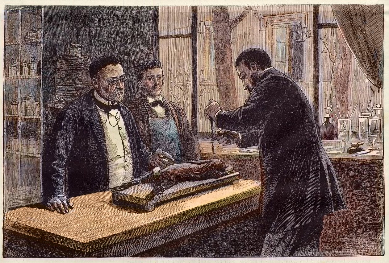 路易斯-巴斯德（1822-1895），法国化学家和微生物学家，在寻找治疗狂犬病的方法时，用一只被氯仿麻醉的兔子做实验。 作者 法语学校