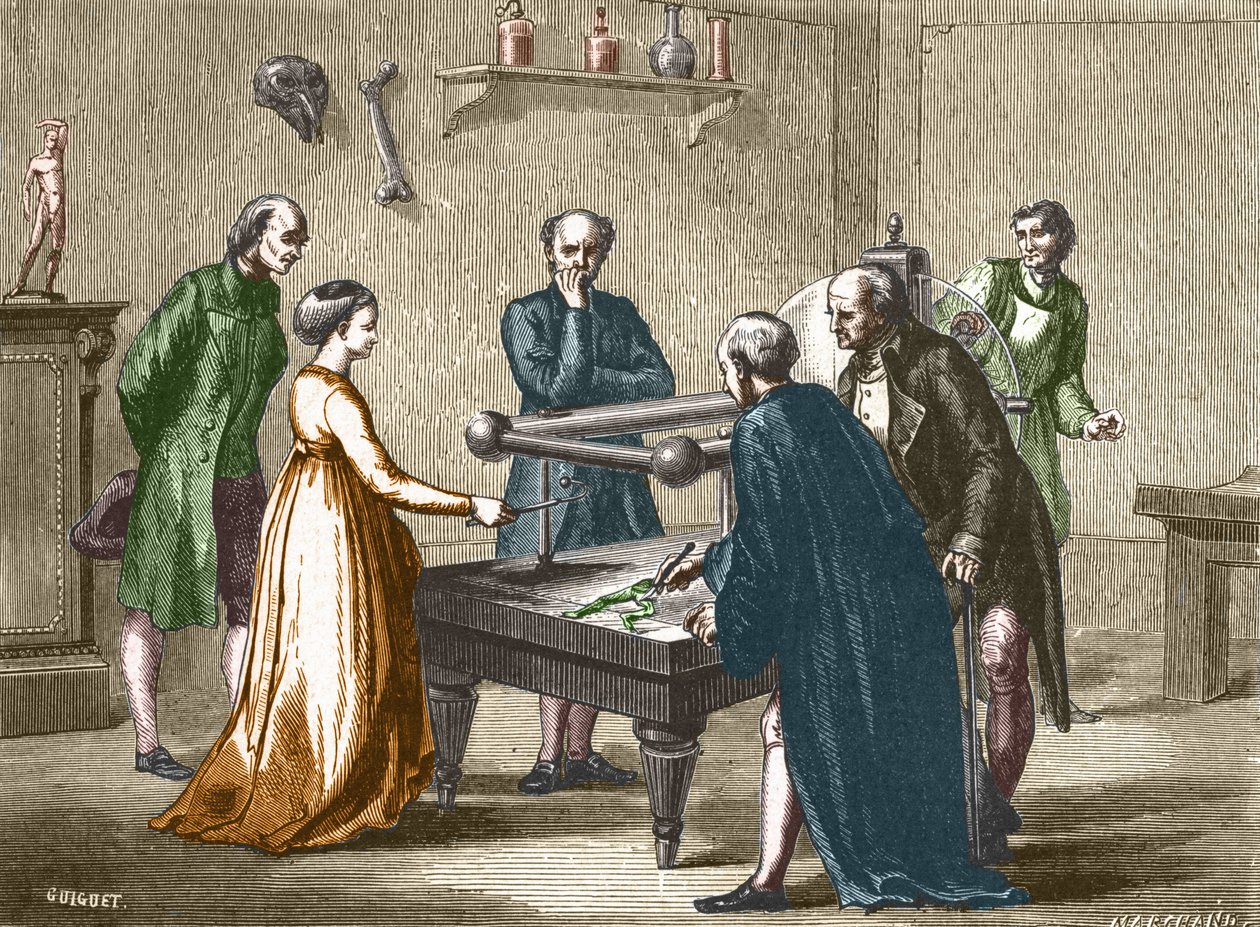 Luigi Galvani，博洛尼亚的教授，在1780年发现了电对青蛙肌肉的刺激性 - 在 "科学专辑；杰出的科学家；伟大的发现 "1896。 作者 法语学校