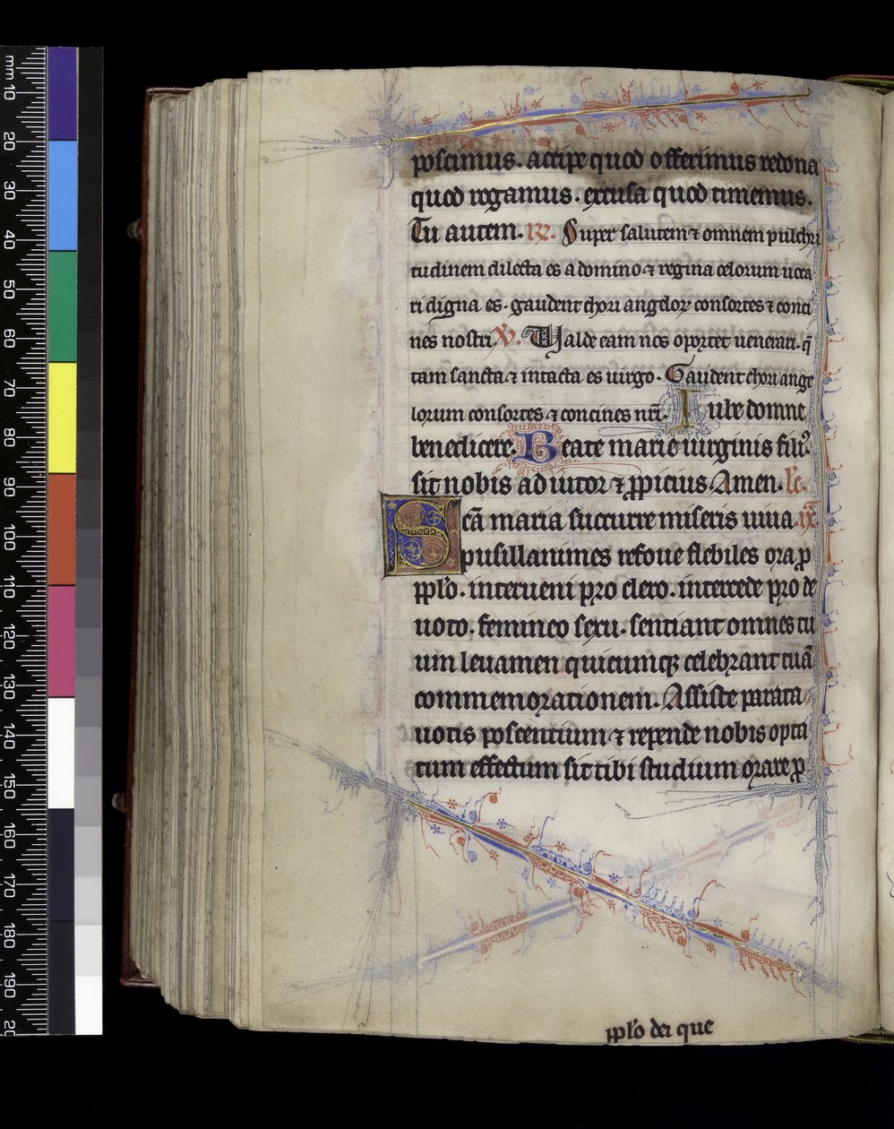 MS 300 f.189v，Matins，来自法国伊莎贝拉的诗篇和时光，巴黎，c.1265-70 作者 法语学校