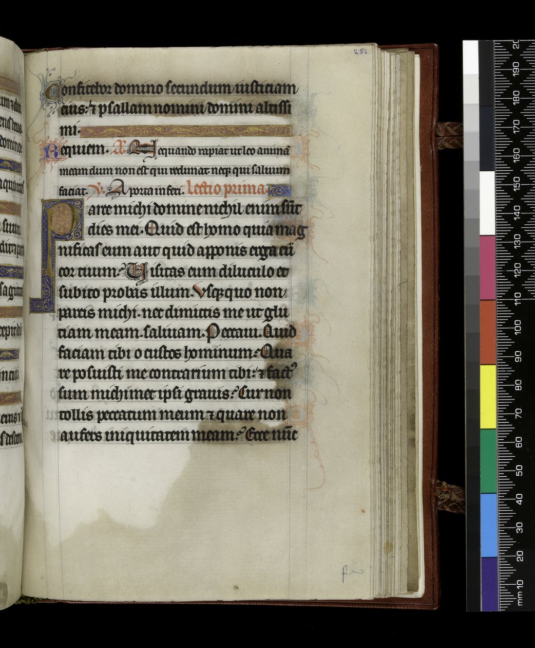 MS 300 f.251r, from the Psalter and Hours of Isabella of France, Paris, c.1265-70 (pen & ink and tempera on parchment) 作者 法语学校