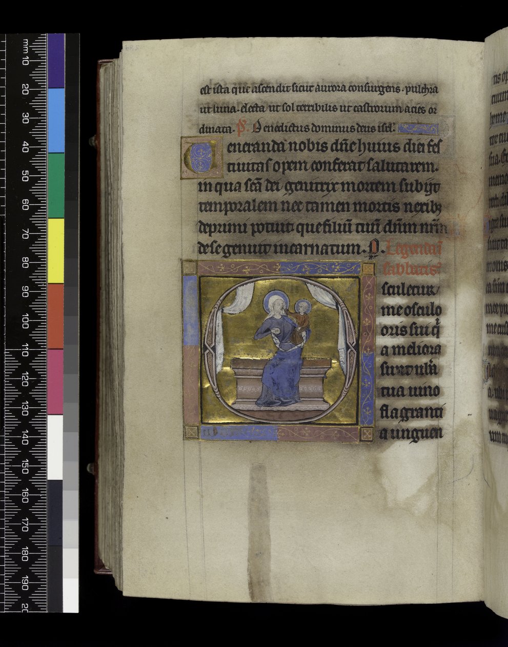 MS 300 f.284v, Song of Songs, from the Psalter and Hours of France of Isabella, Paris, c.1265-70（羊皮纸上的钢笔墨水和蛋彩画） 作者 法语学校