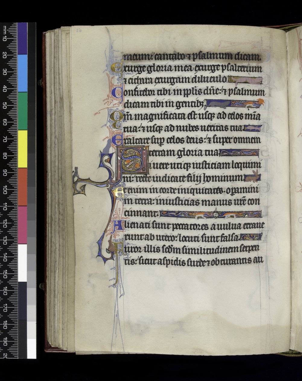 MS 300 f.61v，作品集来自法国伊莎贝拉的诗篇和时光，巴黎，c.1265-70 作者 法语学校