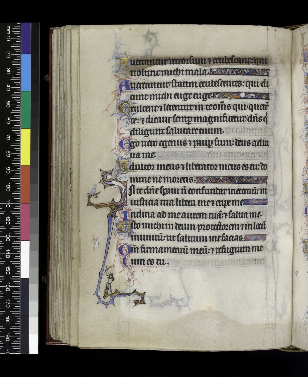 MS 300 f.73v，来自法国伊莎贝拉的诗篇和时光，巴黎，c.1265-70 作者 法语学校