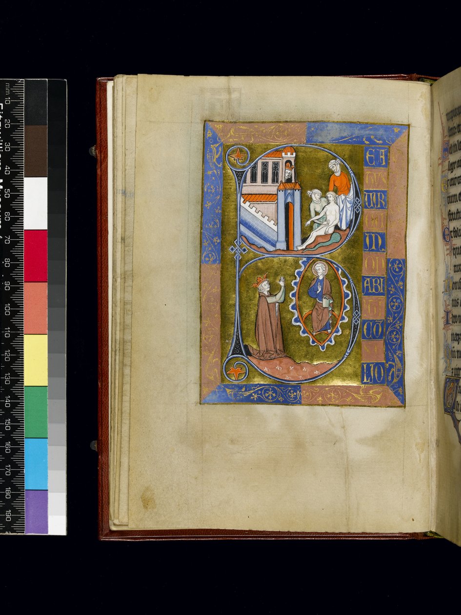 MS 300 f.XIII, folio from the Psalter and Hours of Isabella of France, Paris, c.1265-70 (pen & ink and tempera on parchment) 作者 法语学校