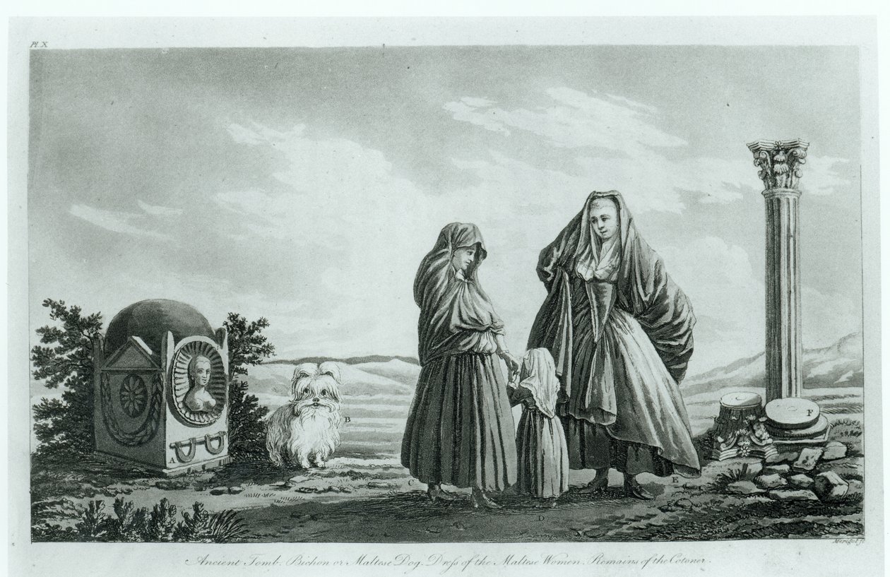 来自古代和现代马耳他的马耳他妇女，由Pierre Marie Louis de Boisgelin de Kerdu出版，出版于1805年 作者 法语学校