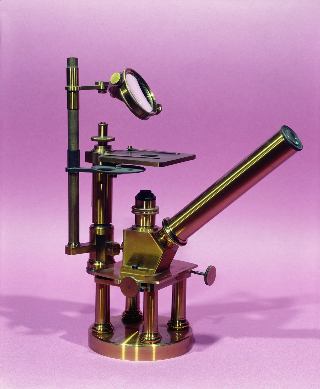 属于Louis Pasteur（1811-95）（金属）的显微镜 作者 法语学校