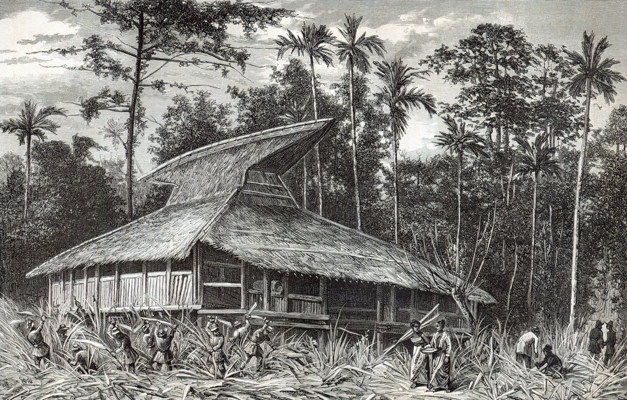 Dodinga的清真寺，新几内亚，从世界游览杂志的例证，1879年 作者 法语学校