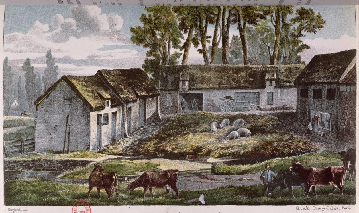 在1867年改造粪坑之前，Vandercolmes先生在Armbouts-Cappel（Nord）农场 作者 法语学校
