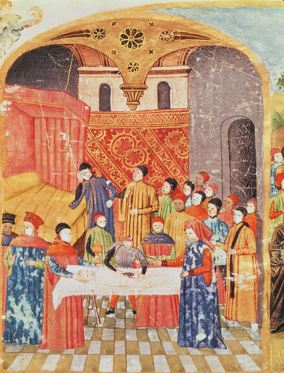 1335 f.219号女士从Vie dAlexandre le Grand解剖亚历山大大帝的尸体 作者 法语学校