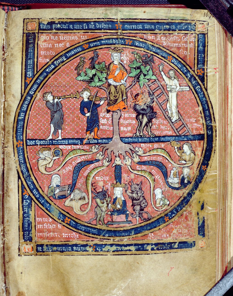 2200 Allegorical Tree女士，来自De Philosophia Mundi，Guillaume de Conches（1100-54）1276-77 作者 法语学校