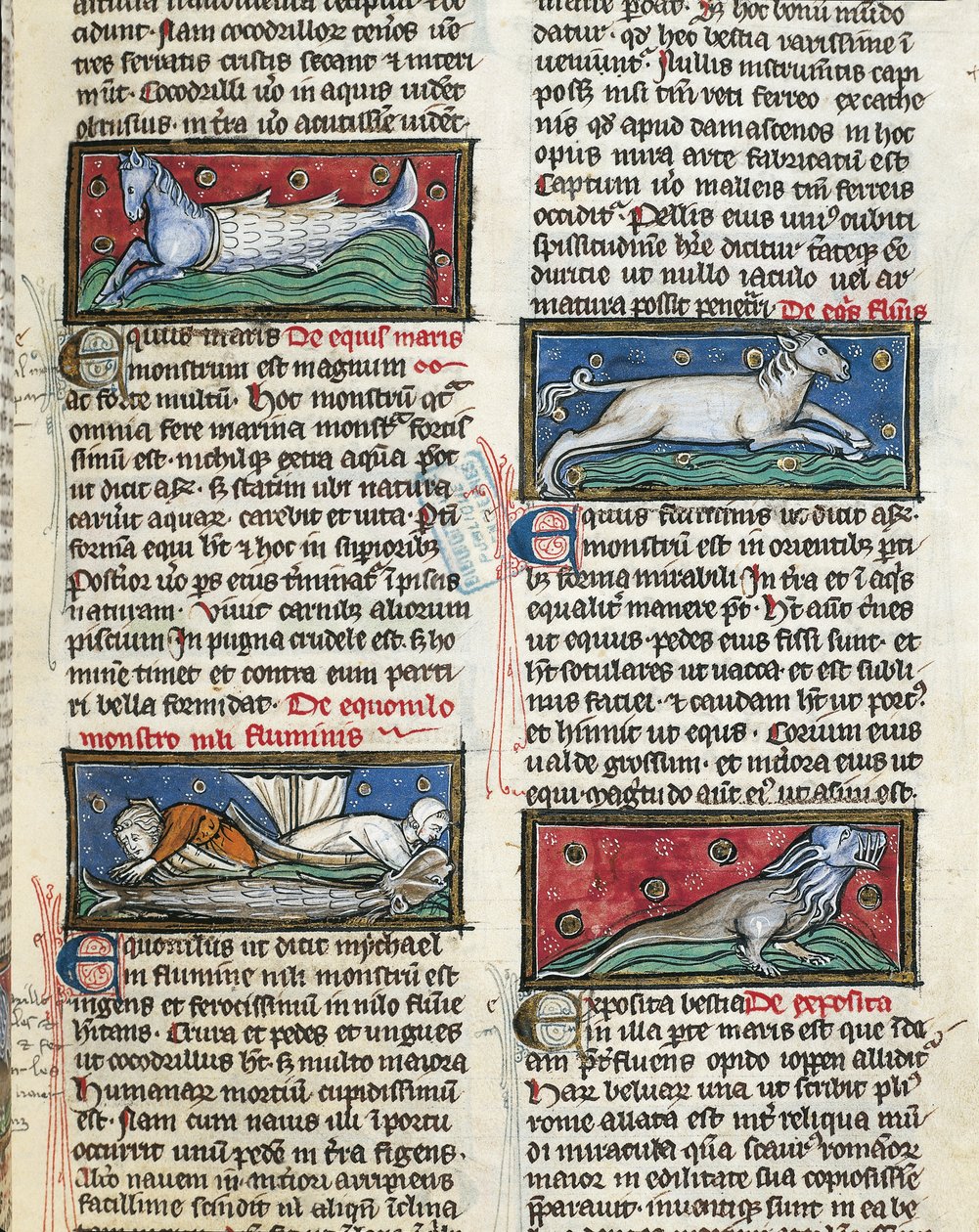 Ms 320 Fol.115r Sea Monsters，来自 Thomas van Cantimpre 的“De Natura rerum”（1201-72）（牛皮纸） 作者 法语学校