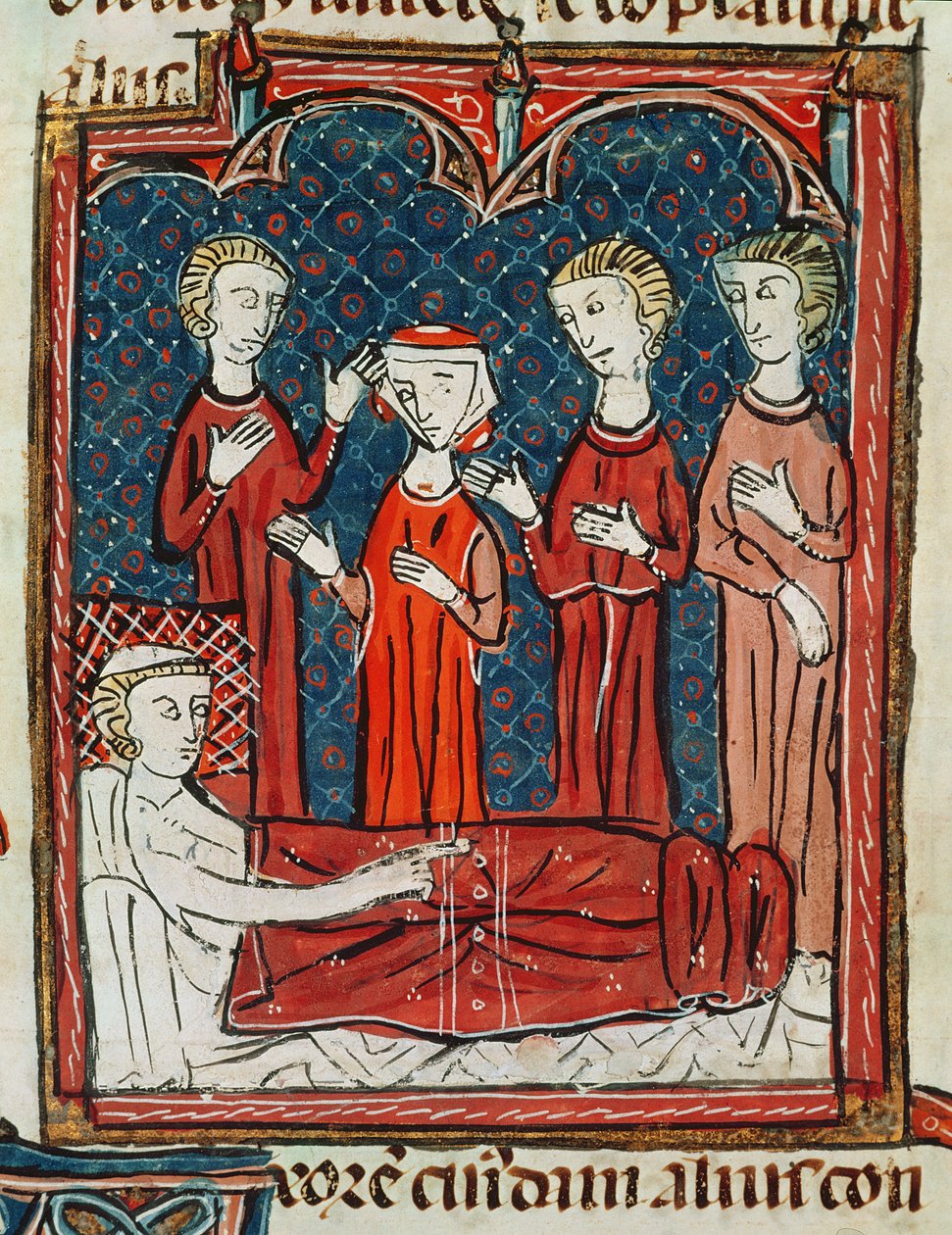 372号女士：fol.165v一名来自Decrets de Gratien的病人 作者 法语学校