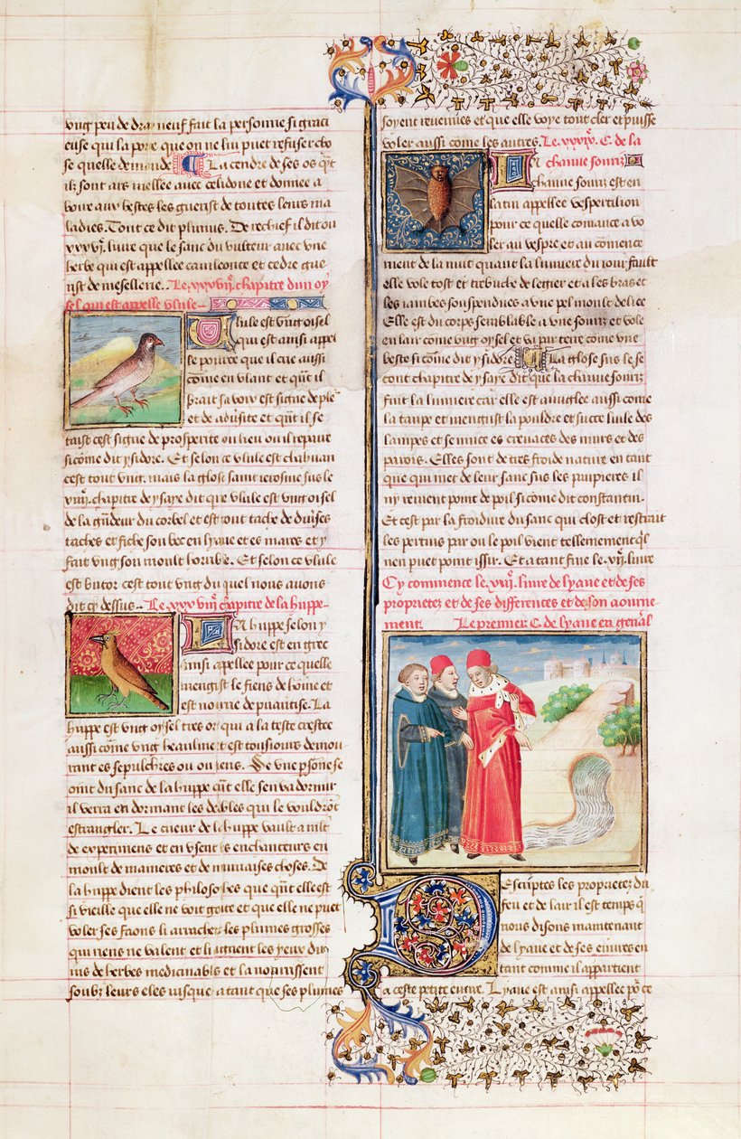 399年第299号来自Barthelemy l&39;Anglais的“Livre des Proprietes des Choses”中的乌龟，戴胜和蝙蝠的属性 作者 法语学校