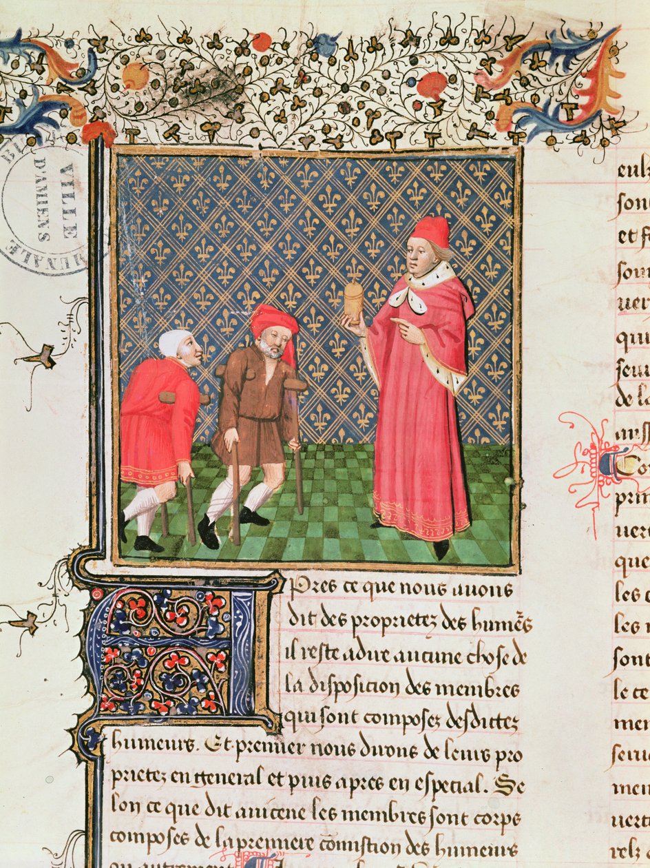 399 fol.35v Beggars女士，来自Barthelemy English的Property Book 作者 法语学校