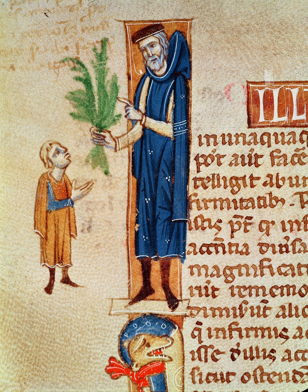 413 f.92v女士药用植物，来自Traud de Medecine的Claudius Galenus（c.130-c.201），由Gerard de Cremone翻译（1114-87） 作者 法语学校