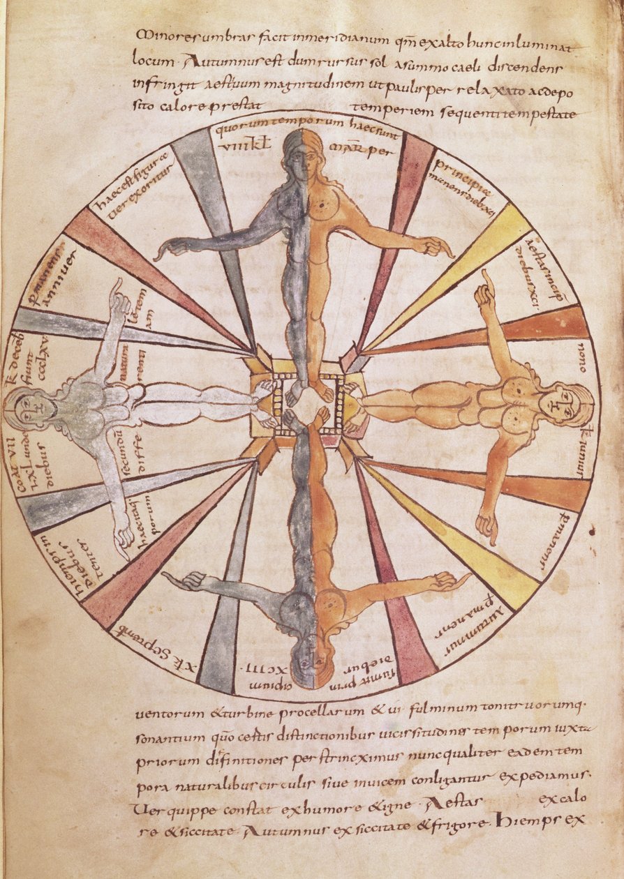 Ms 422 fol.6v四季和几个月的轮子，来自塞维利亚圣伊西多尔的De Natura Rerum 作者 法语学校