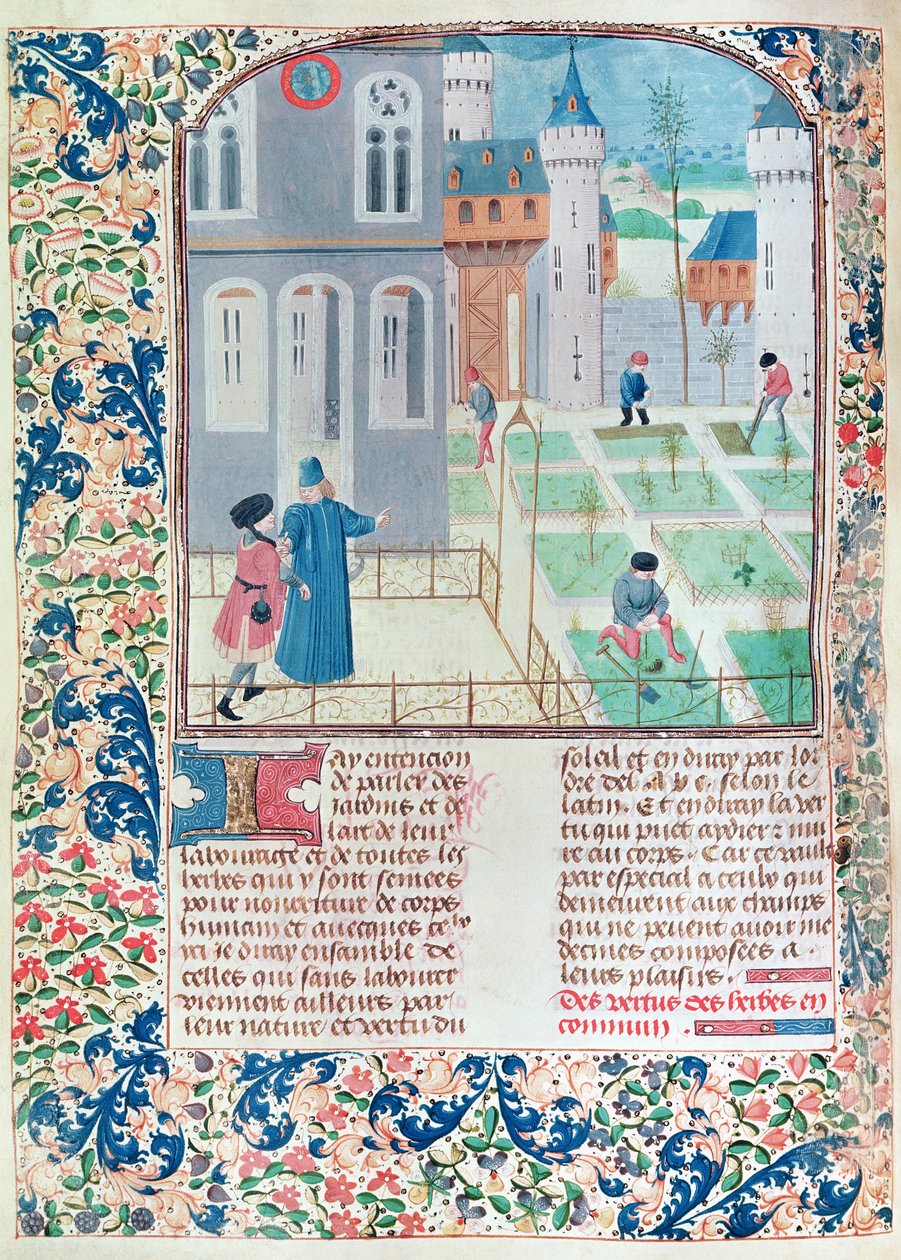 5064 f.151v女士花园，来自Pietro de Crescenzi的Le Livre des Prouffitz Champestres的插图（1230-132021） 作者 法语学校