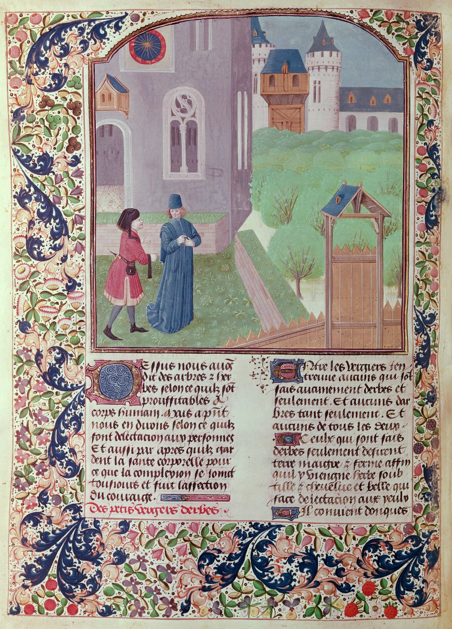 5064 f.202v女士The Orchard，来自Pietro de Crescenzi的Le Livre des Prouffitz Champestres的插图（1230-132021） 作者 法语学校