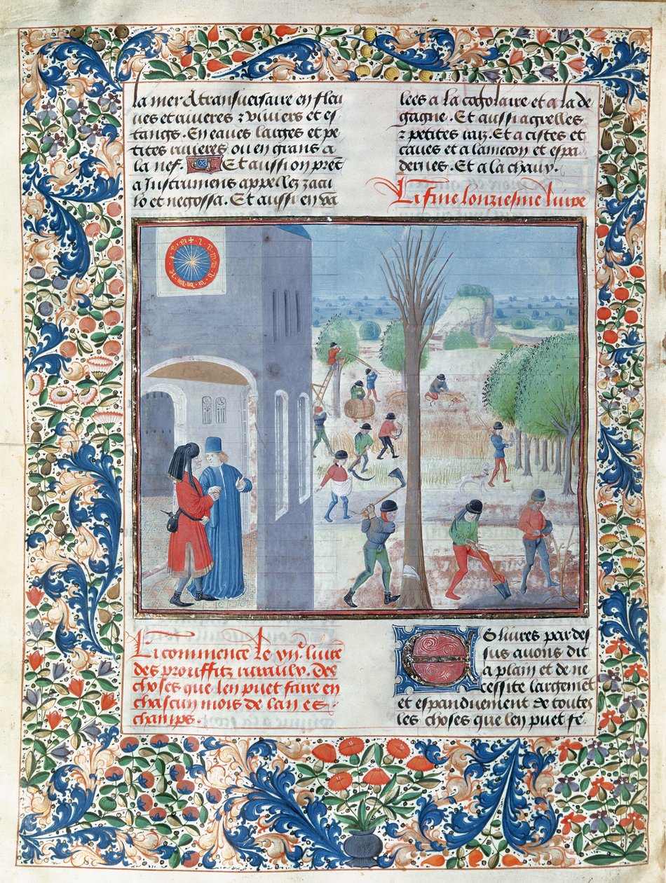 5064 f.299v女士一年中每个月的职业，来自Pietro de Crescenzi的Le Livre des Prouffitz Champestres的插图（1230-132021） 作者 法语学校