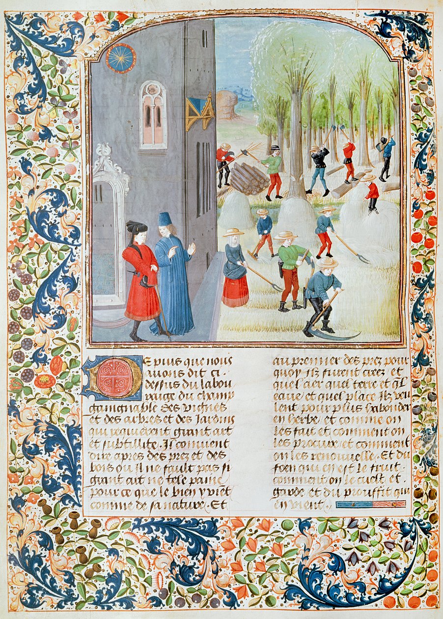 5064 fol.198v切割树木和收获，来自Pietro de Crescenzi的Livre des Prouffitz Champestres（1230-132021） 作者 法语学校
