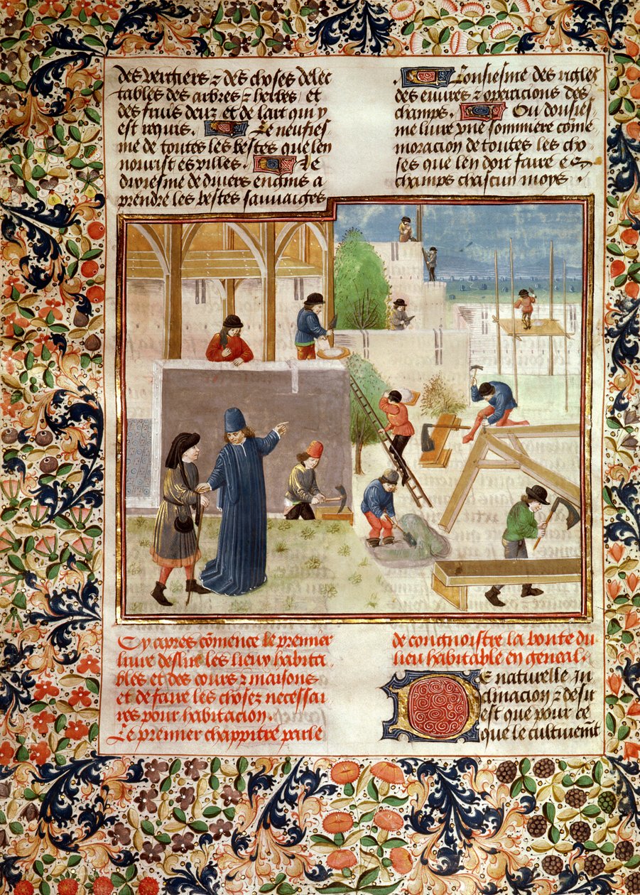 女士5064 fol.2v建造一座房子，来自Pietro de Crescenzi的Livre des Prouffitz Champestres（1230-132021） 作者 法语学校