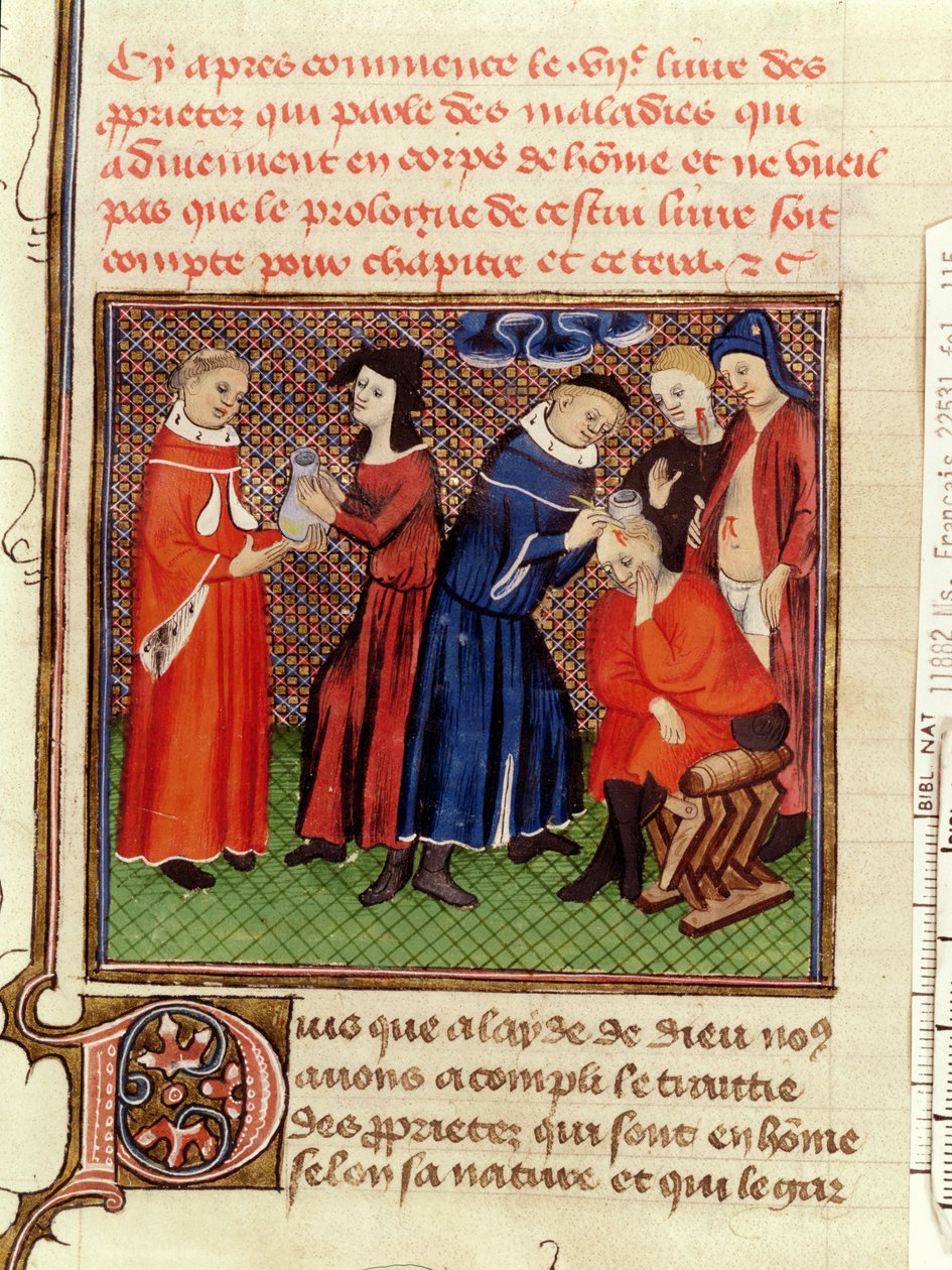 Fr 22531 Fol.115尿液检查和伤口愈合，来自Le Livre des Proprietes des Choses by Barthelemy lAnglais，c.1410-15 作者 法语学校
