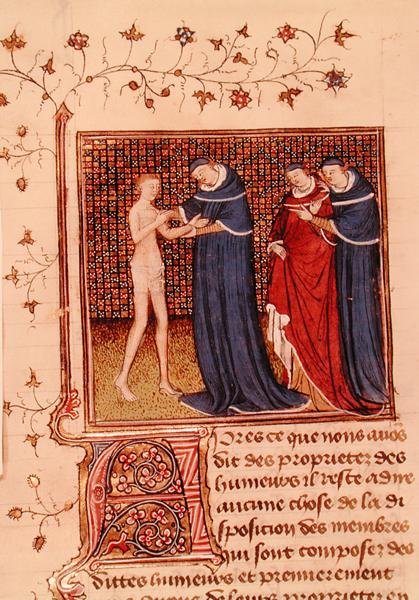 Ms Fr 22531 Fol.58v.对病人的检查，摘自Barthelemy l