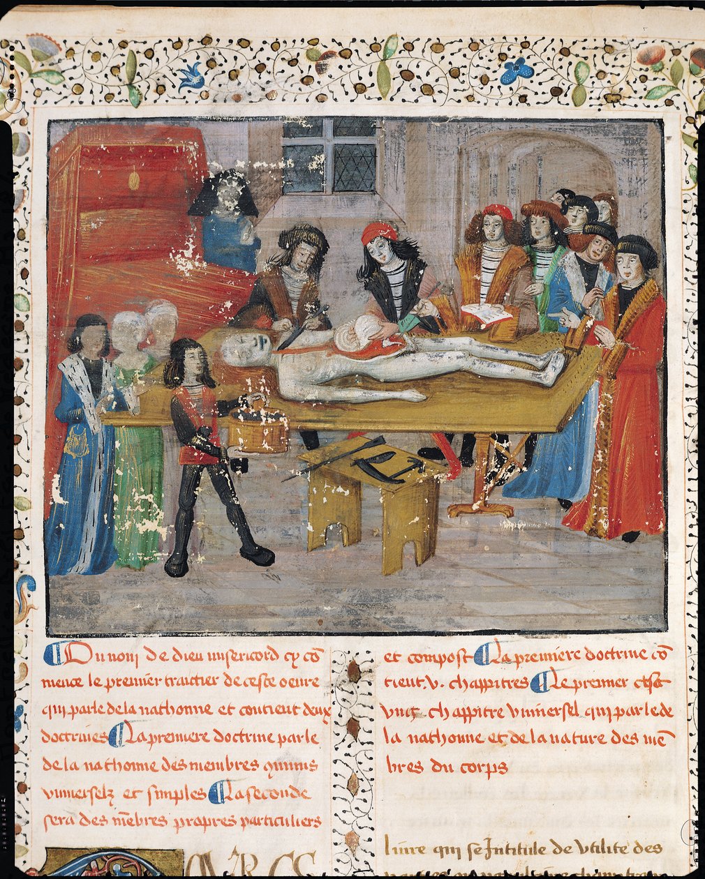 H 184 184 fol.14v蒙彼利埃医学院解剖课，来自&39;La Grande Chirurgie&39;的Guy de Chauliac，1363 作者 法语学校